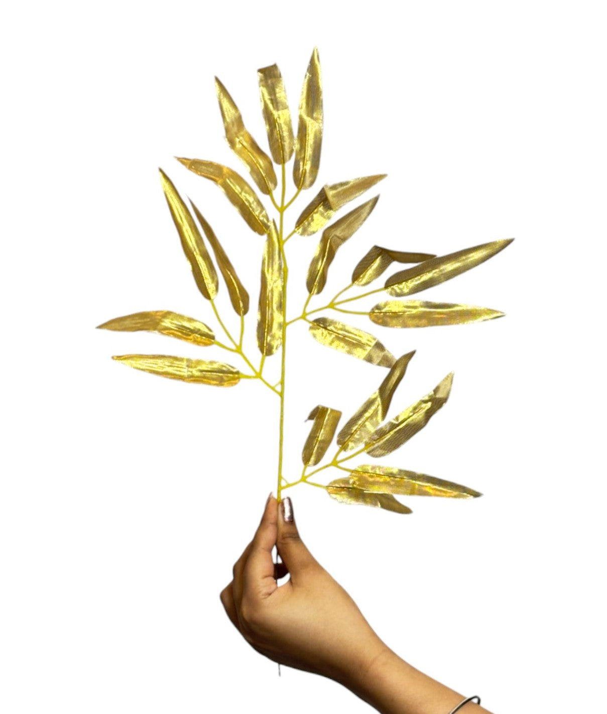 Bamboo/Moriya Leaf 43cm Golden (Pack of 10)