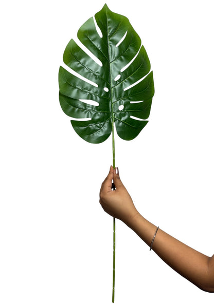 Monstera Leaf Stick 28"x10" Dark Green (Pack of 10)