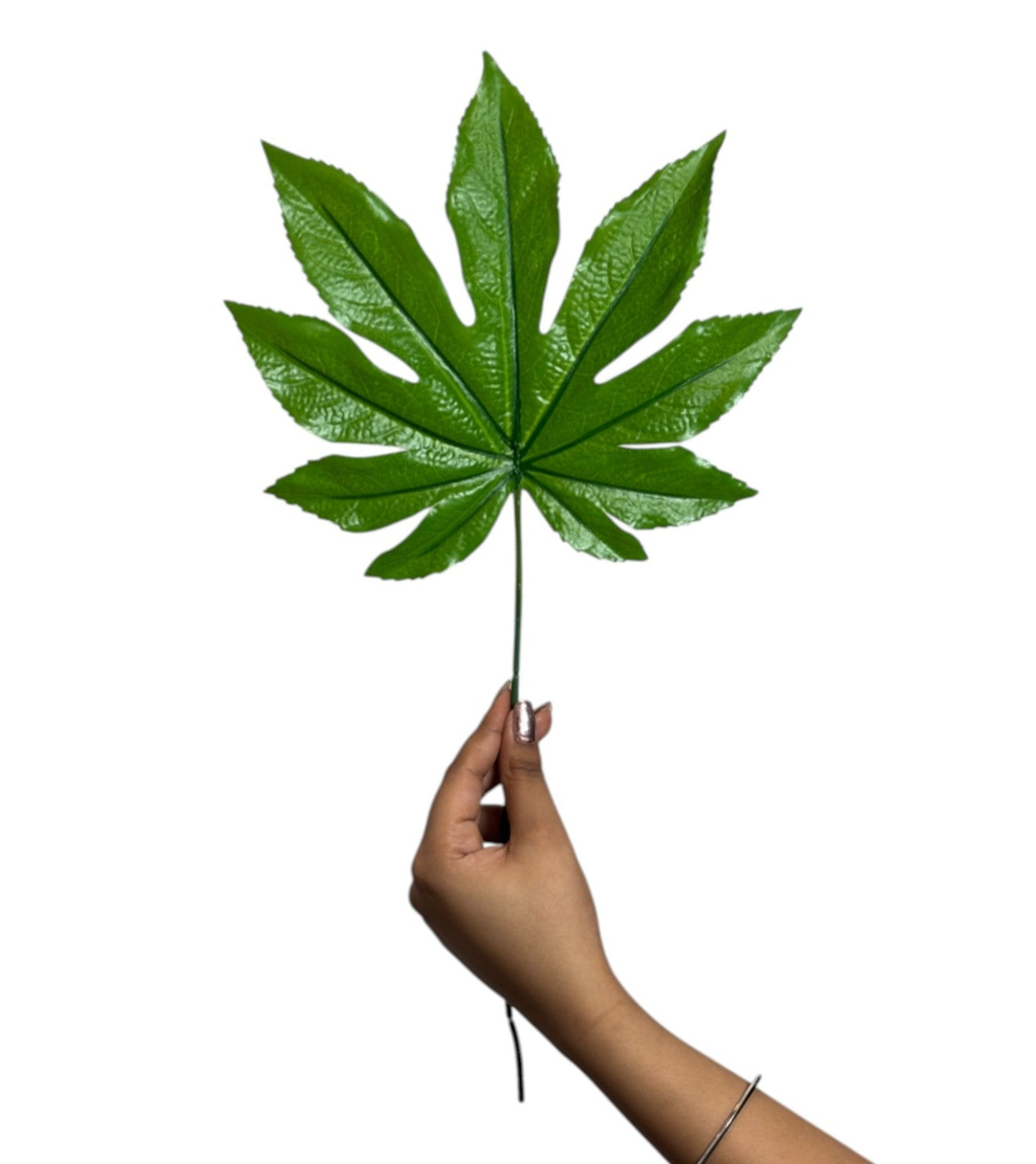 Leaf Stick Mapple 45x24 cm Green (Pack of 10)