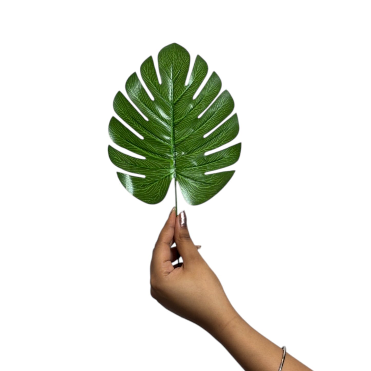 Leaf Stick Monstera 31x15 cm Green (Pack of 10)