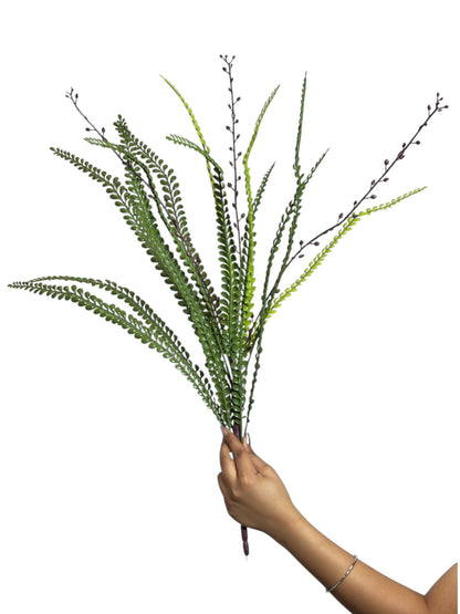 Bunch Ebony Spleenwort Leaf 59cm D/s Green (Pack of 5)