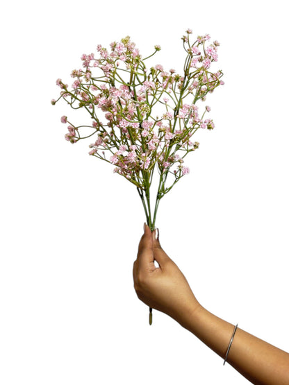 Bunch Gypsophila 42 Head Pink (Pack of 5)