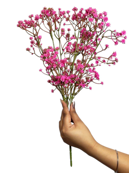 Bunch Gypsophila 42 Head Magenta (Pack of 5)