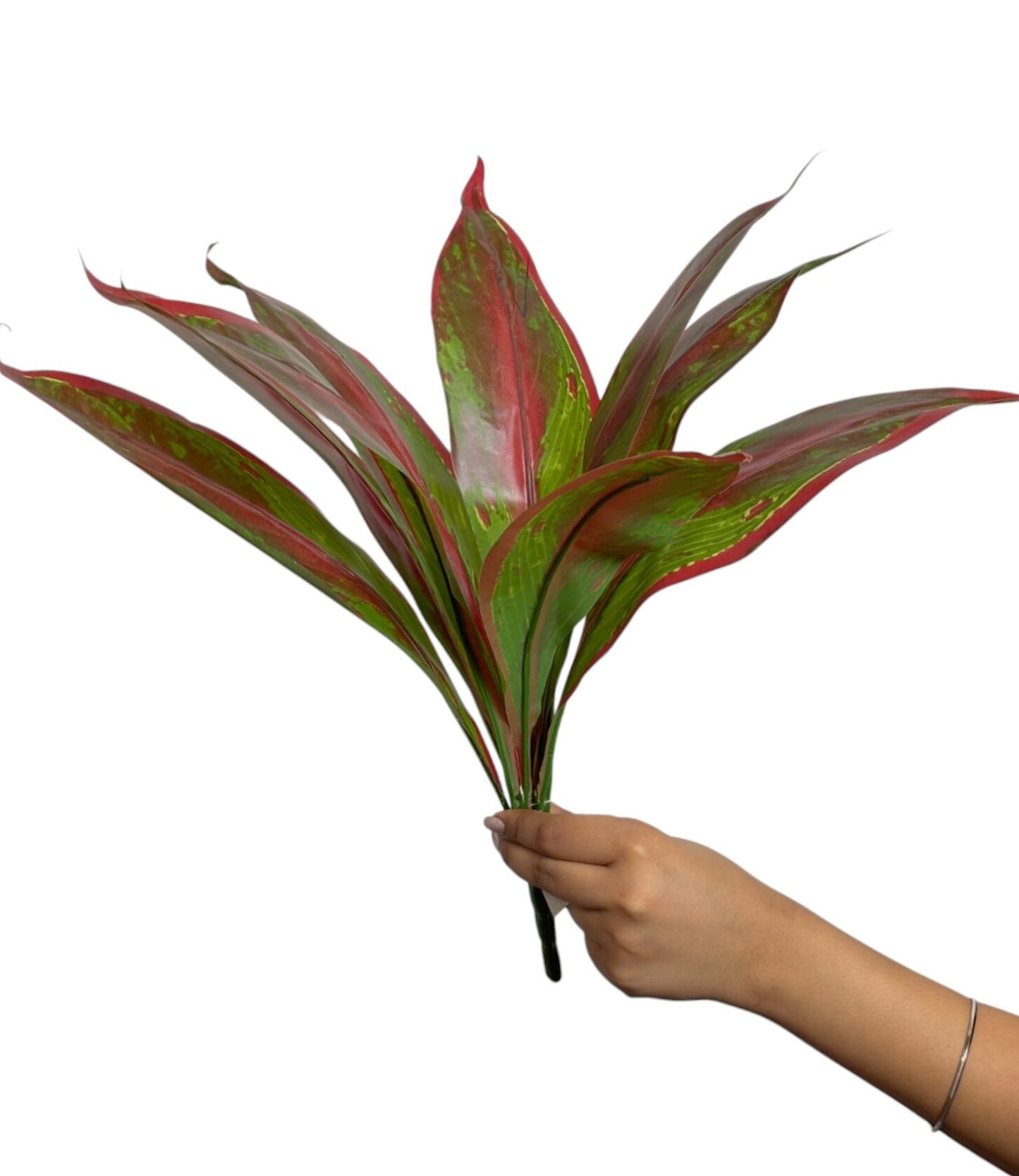 Bunch Forked Magnolia D/s Green Red (Pack of 5)