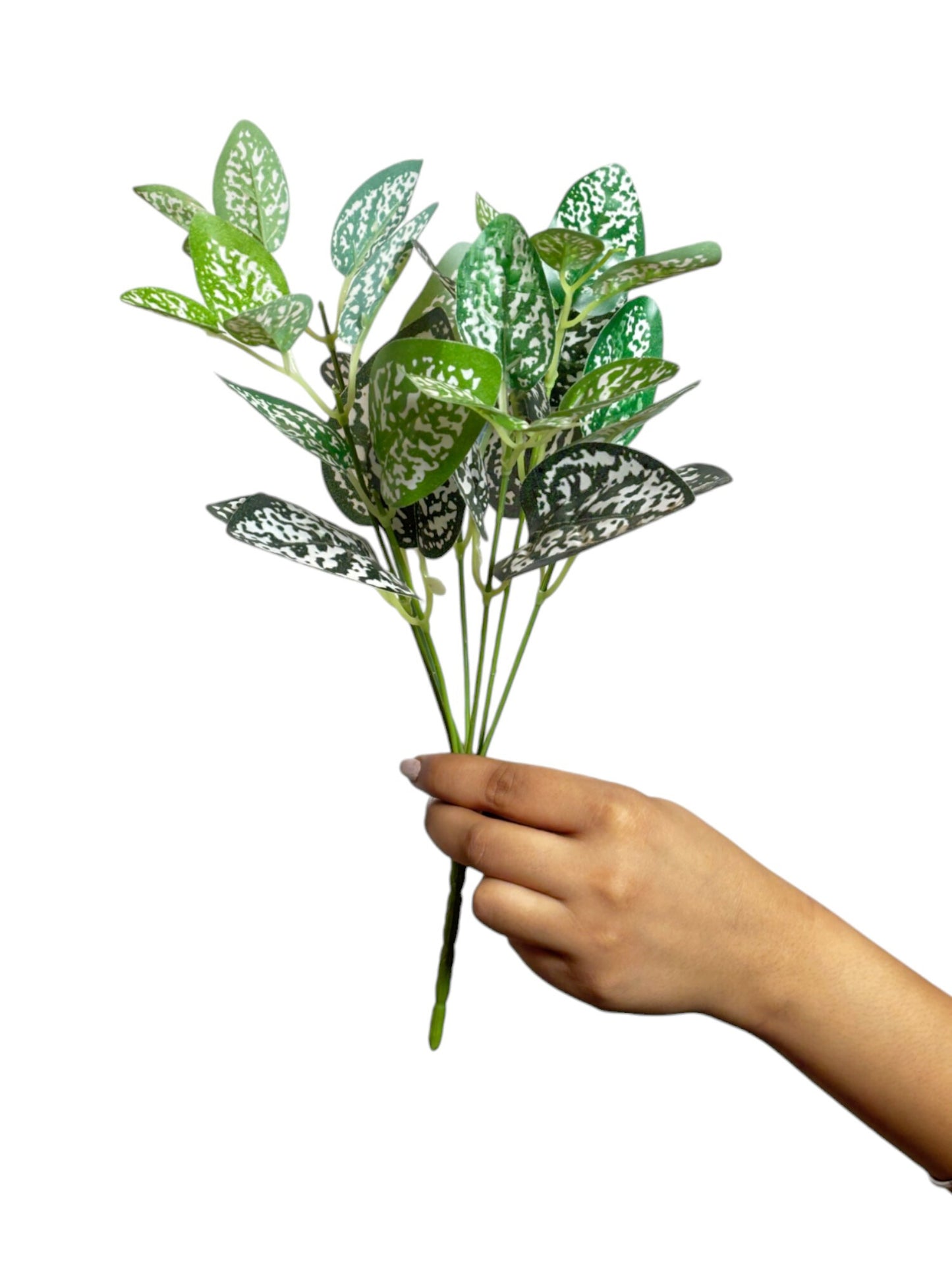 Bunch Leaf D/s Green White (Pack of 5)
