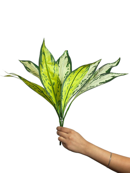Bunch Forked Magnolia D/s Green White (Pack of 5)