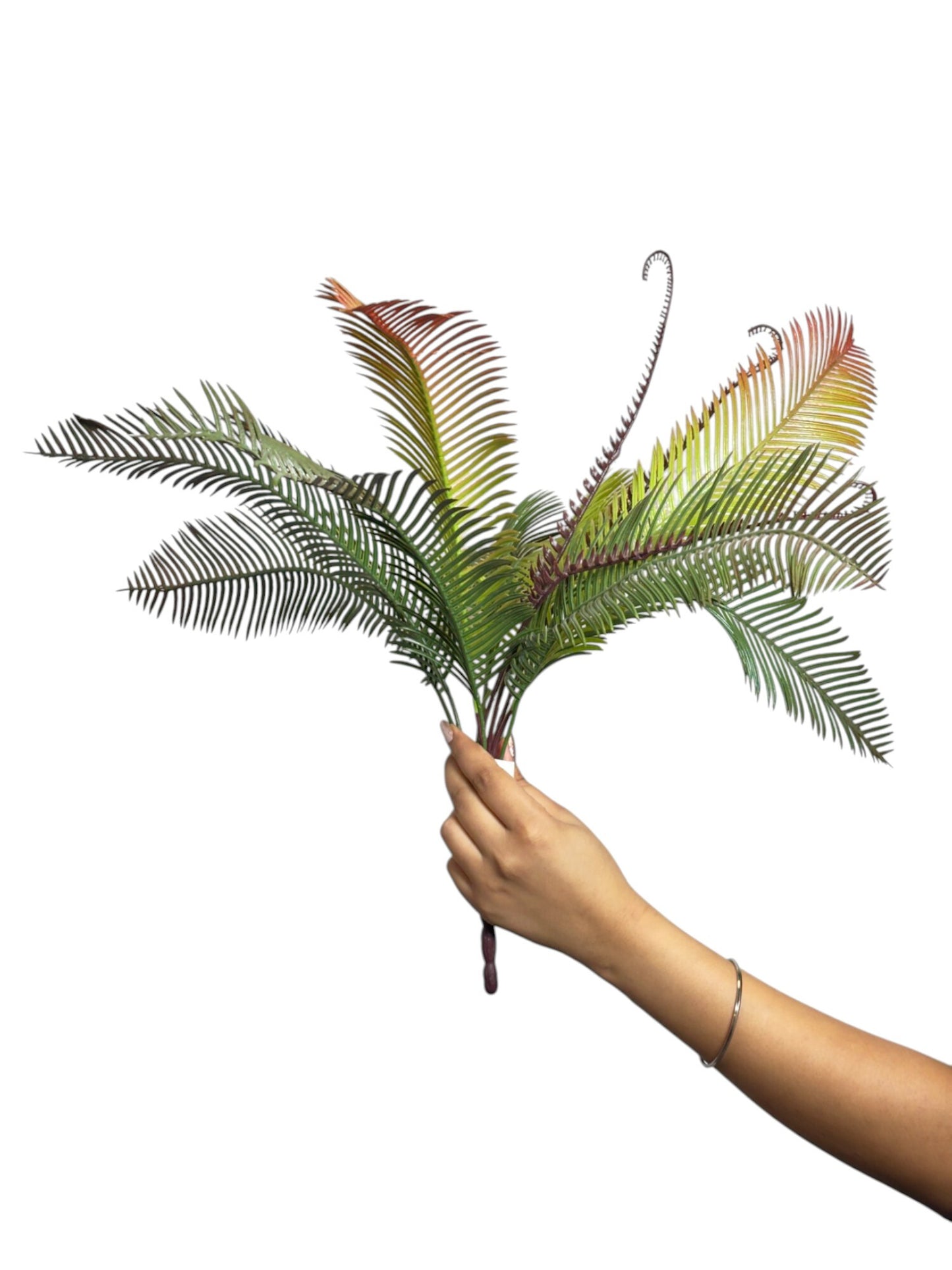 Bunch Palm Leaf D/s Light Green (Pack of 5)