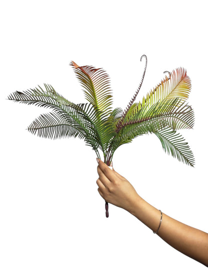 Bunch Palm Leaf D/s Light Green (Pack of 5)