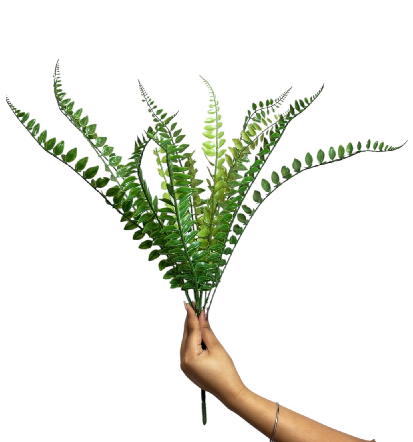 Bunch Fern Leaf D/s Green (Pack of 5)