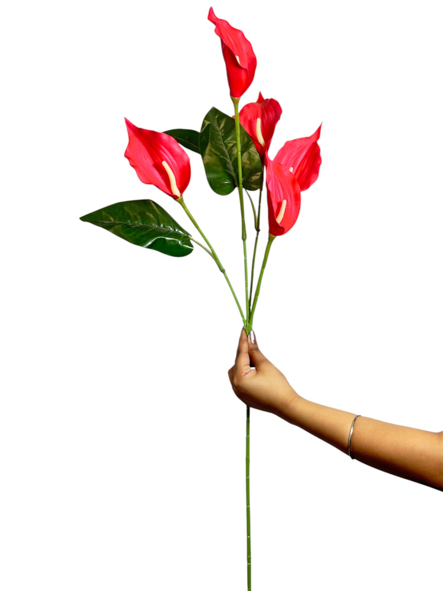 Bunch Cala Lily 5Stick 24.5" Red (Pack of 5)