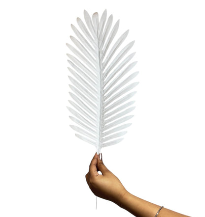 Leaf Stick Palm 50x18 cm White (Pack of 10)
