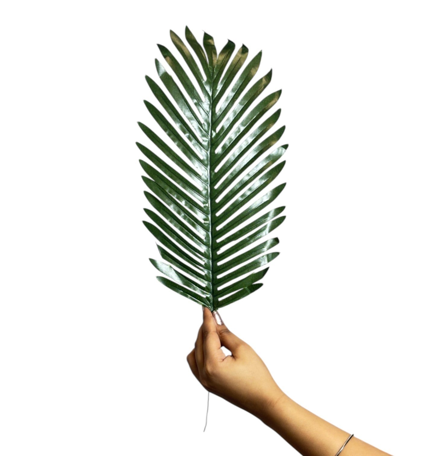 Palm Leaf 20" x 7" Green (Pack of 10)