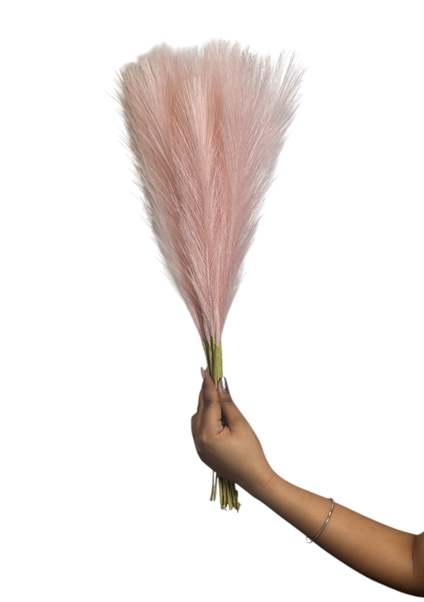 Pampas Grass Single Stick 21" Baby Pink (Pack of 10)
