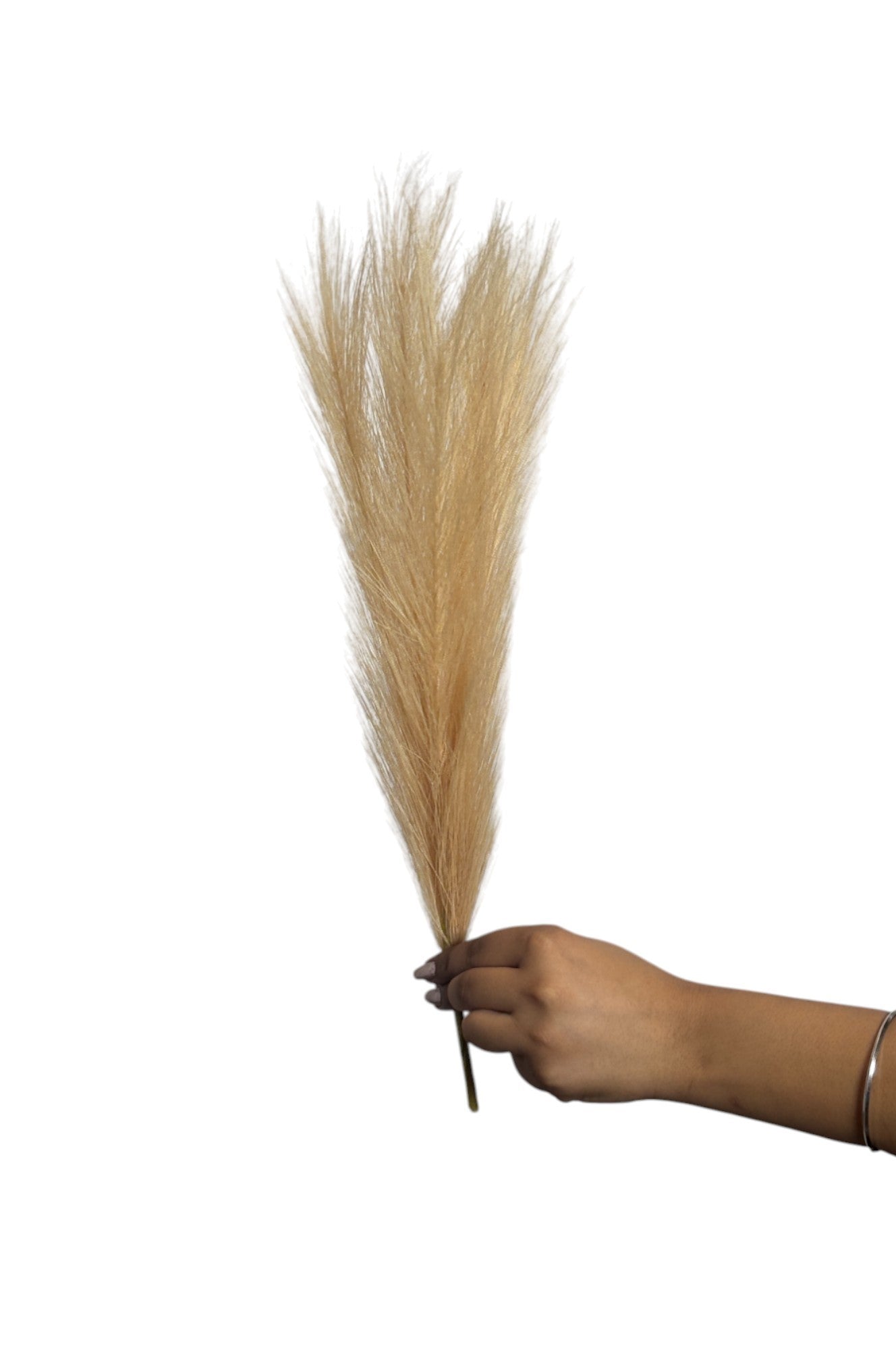 Pampas Grass Stick 17" Cream (Pack of 10)