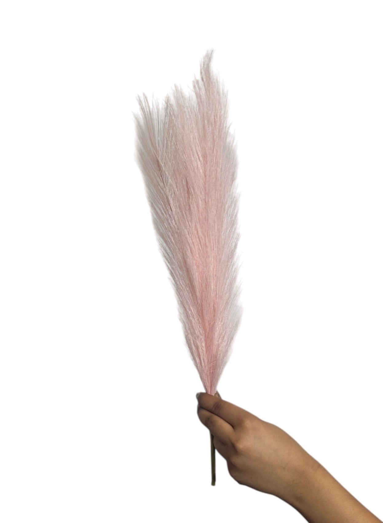 Pampas Grass Stick 17" Pink (Pack of 10)
