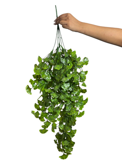 Hanging Ginkgo Biloba Green (Pack of 10)