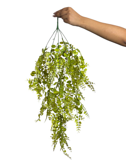 Hanging Eucalyptus Light Green White (Pack of 10)