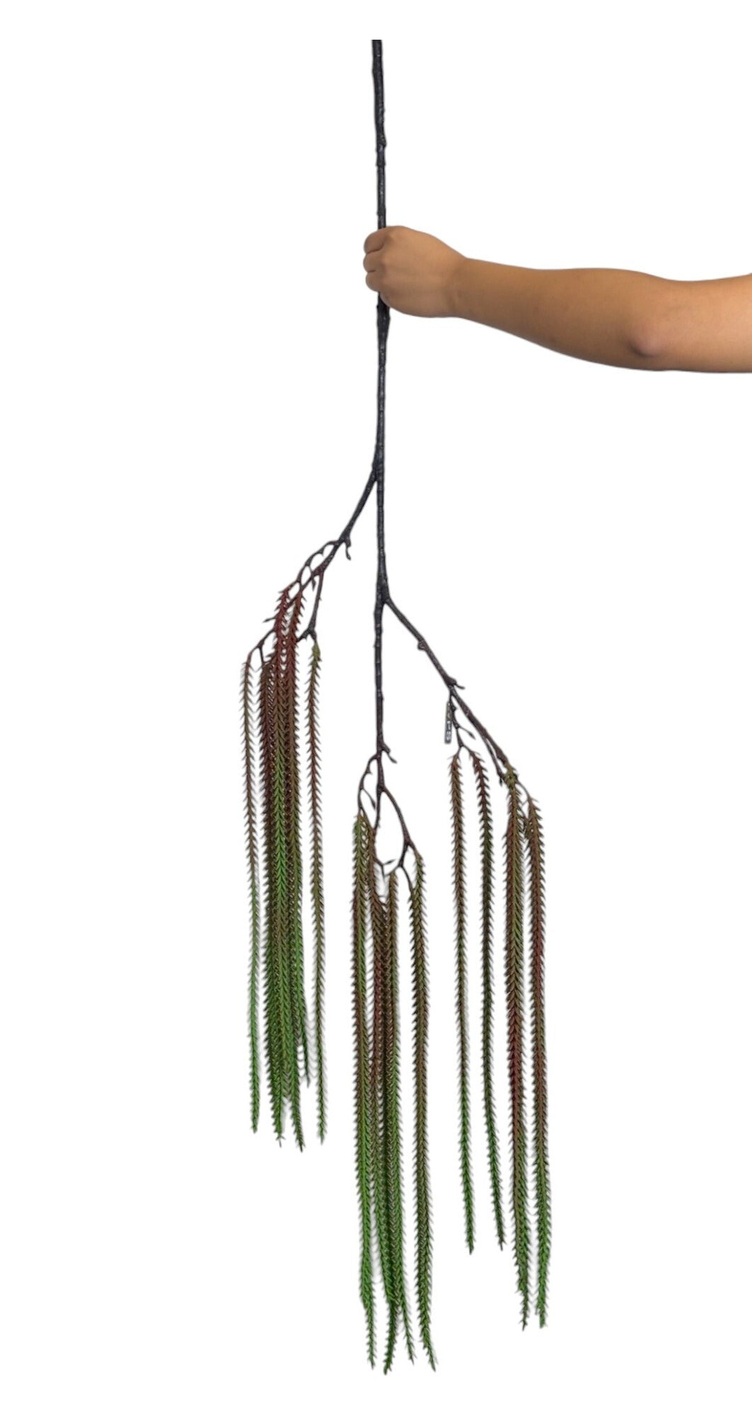 Hanging Fish Palm Leaf Green Brown (Pack of 10)