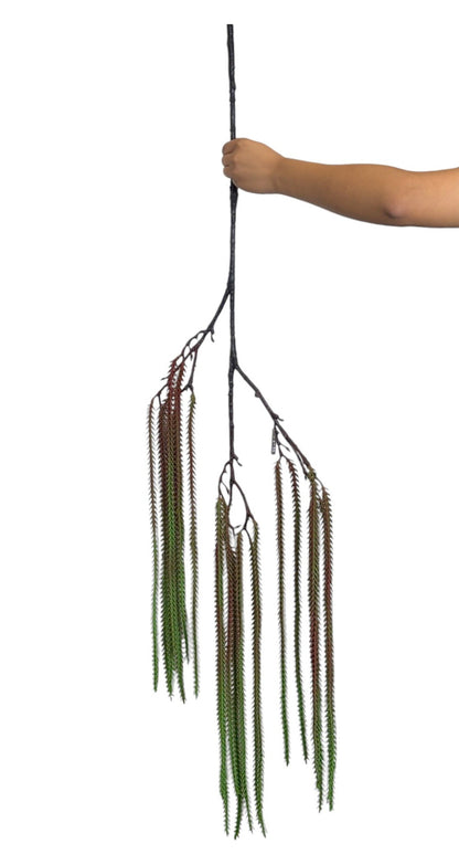 Hanging Fish Palm Leaf Green Brown (Pack of 10)