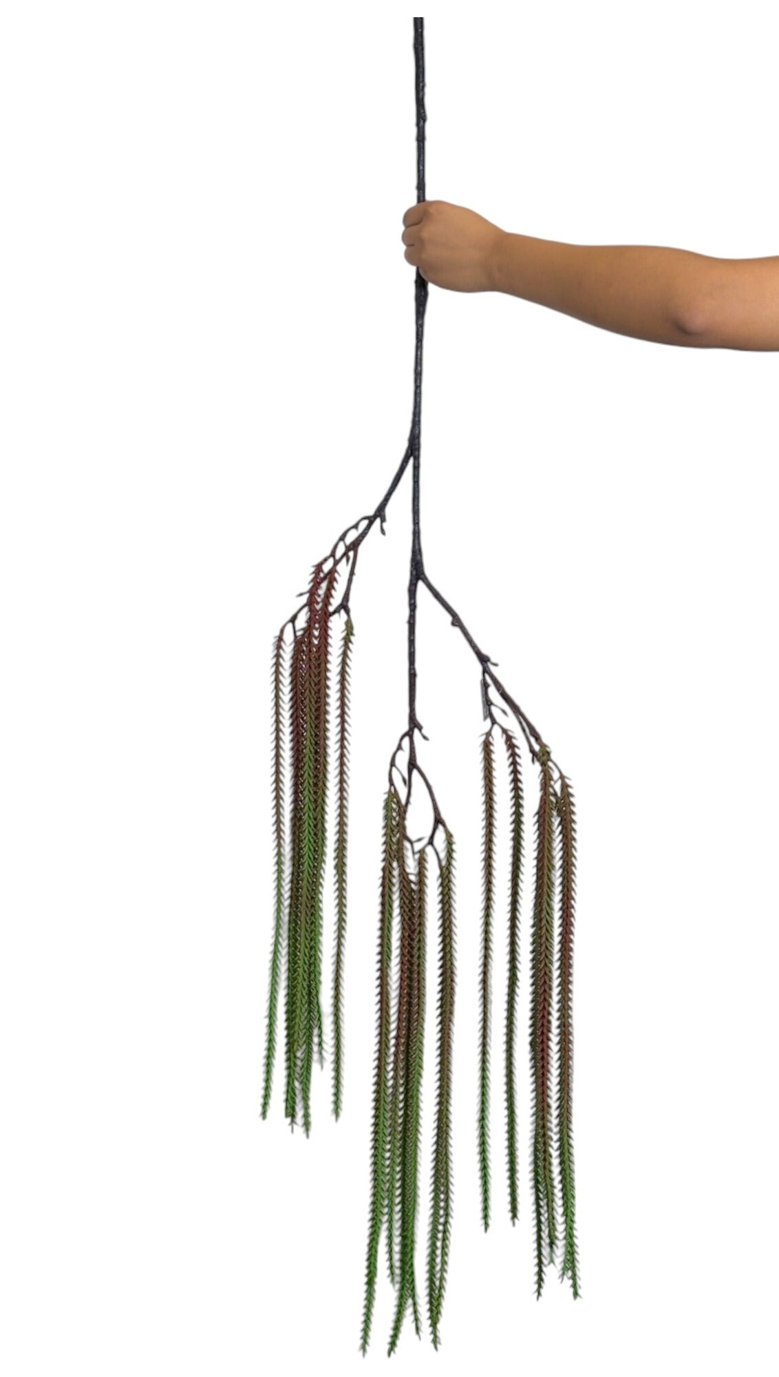 Hanging Fish Palm Leaf Light Green (Pack of 10)