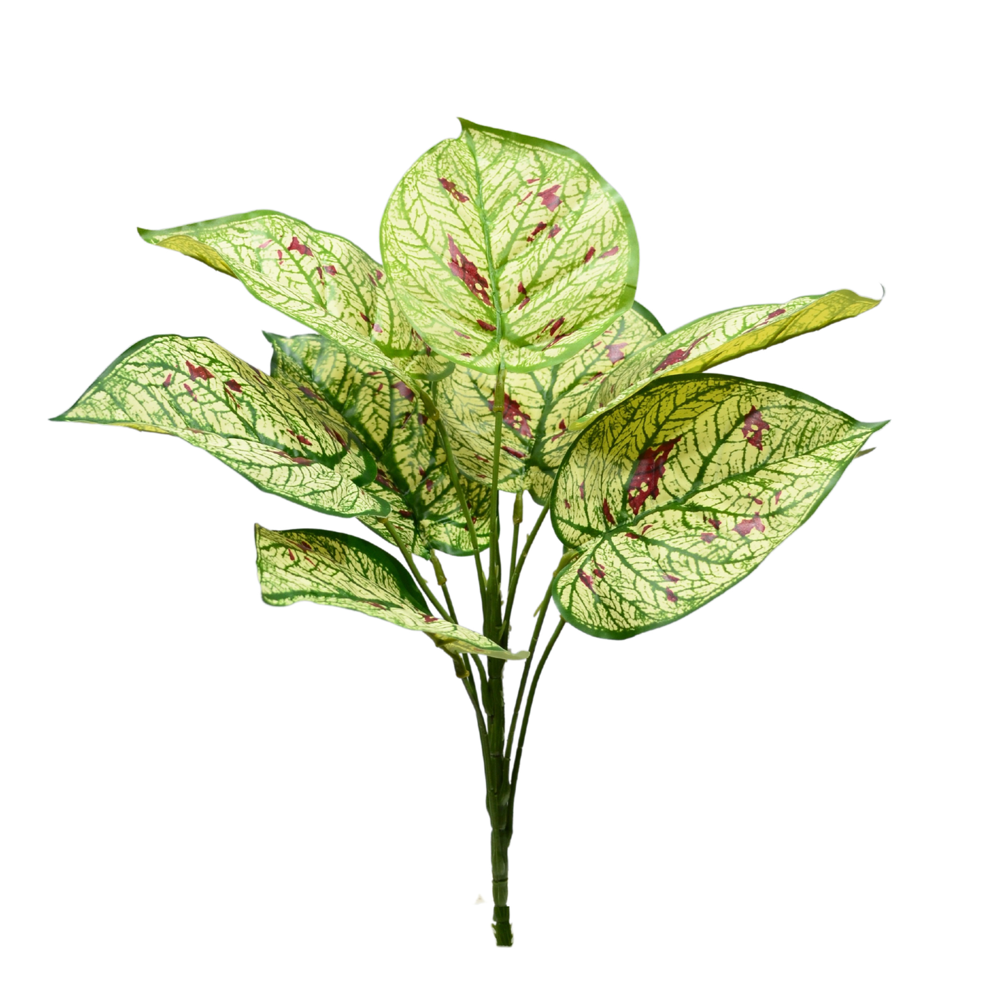 Artificial Dieffenbachia Bunch Light Green (Pack of 5)