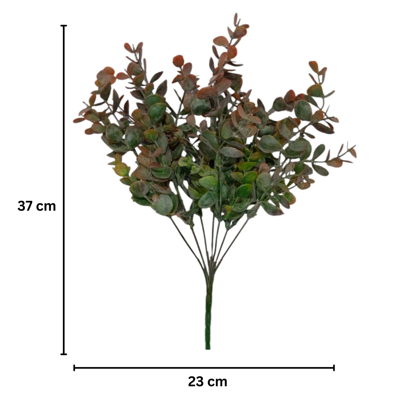 Eucalyptus Bunch 30cm D/s Green Red (Pack of 5)