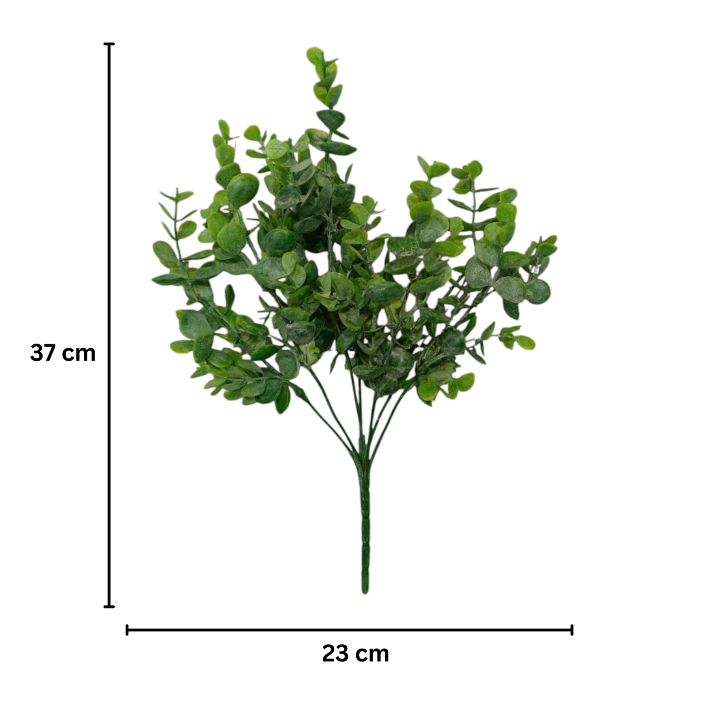 Eucalyptus Bunch 30cm D/s Green White (Pack of 5)