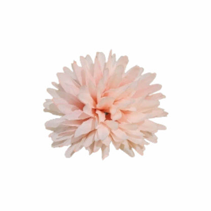 Peach Pink Dahlia (Pack of 100)