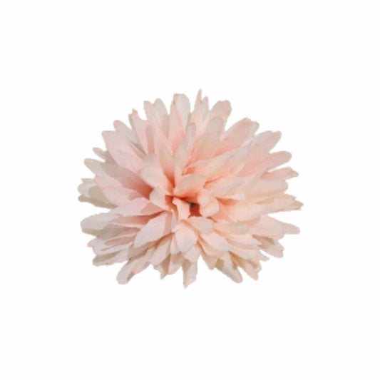 Peach Pink Dahlia (Pack of 100)