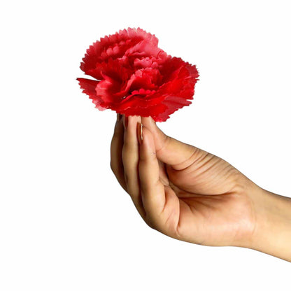 Red Carnation (Pack of 200)