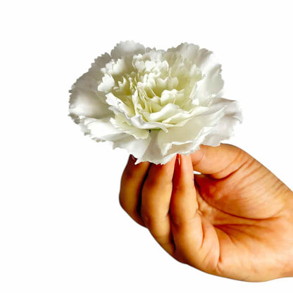off White Carnation (Pack of 200)