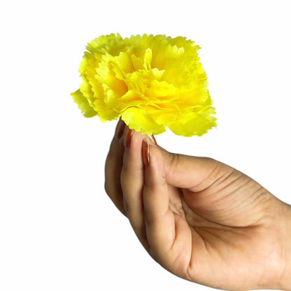 Yellow White Carnation (Pack of 200)
