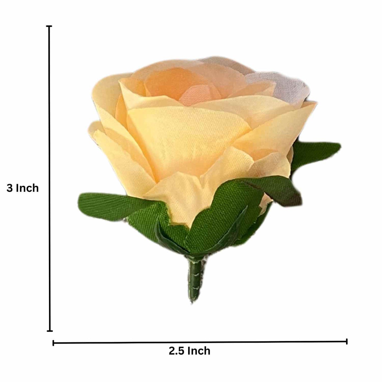 Magenta Cream Rose (MR4) Pack of (200)
