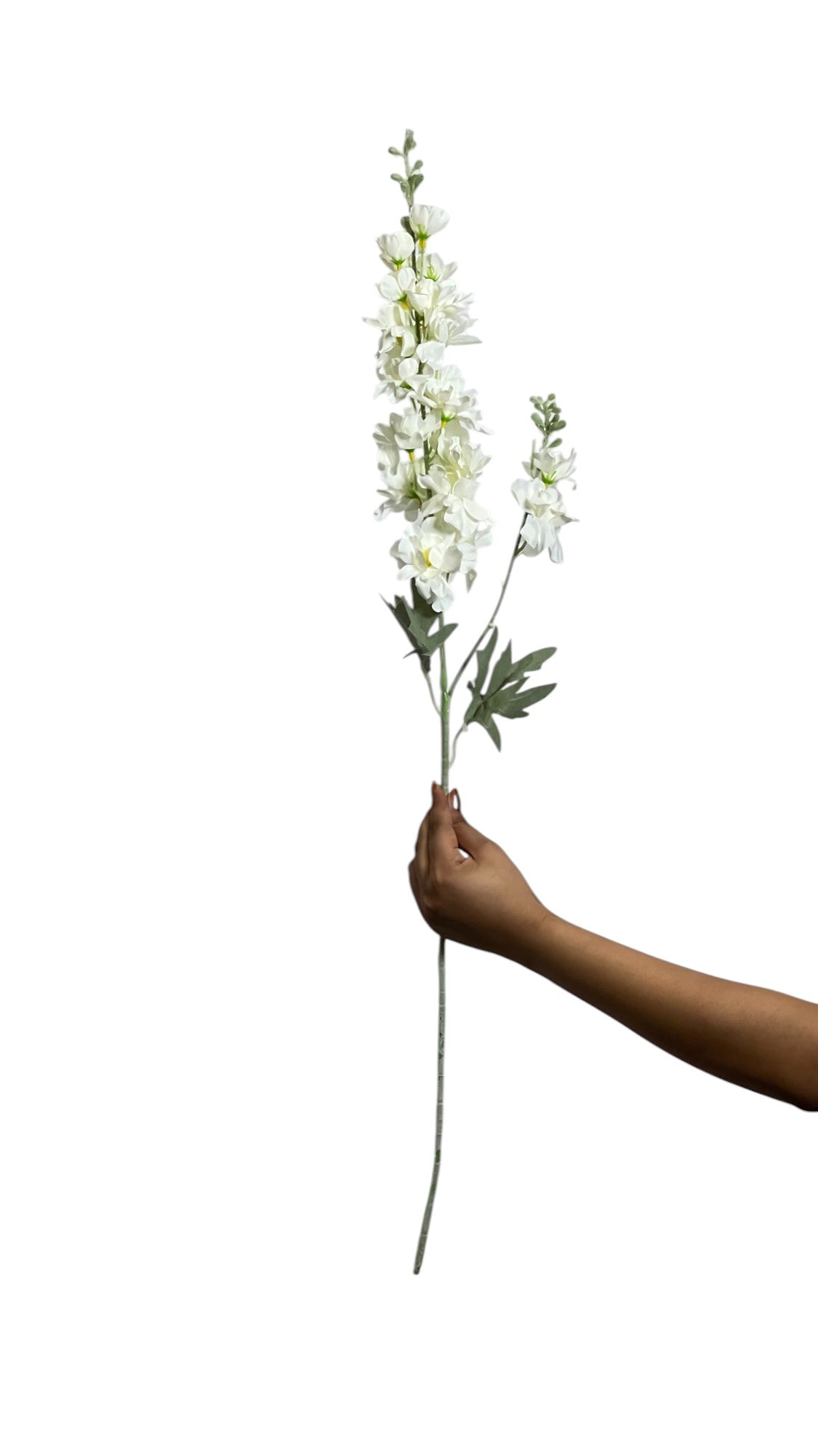 Delphinium Stick 23 Head 85cm Off White (Pack of 10)