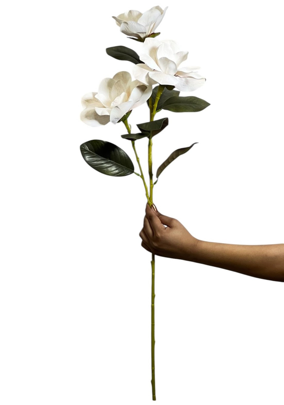 Magnolia Stick 3 Head 82cm White Brown (Pack of 10)
