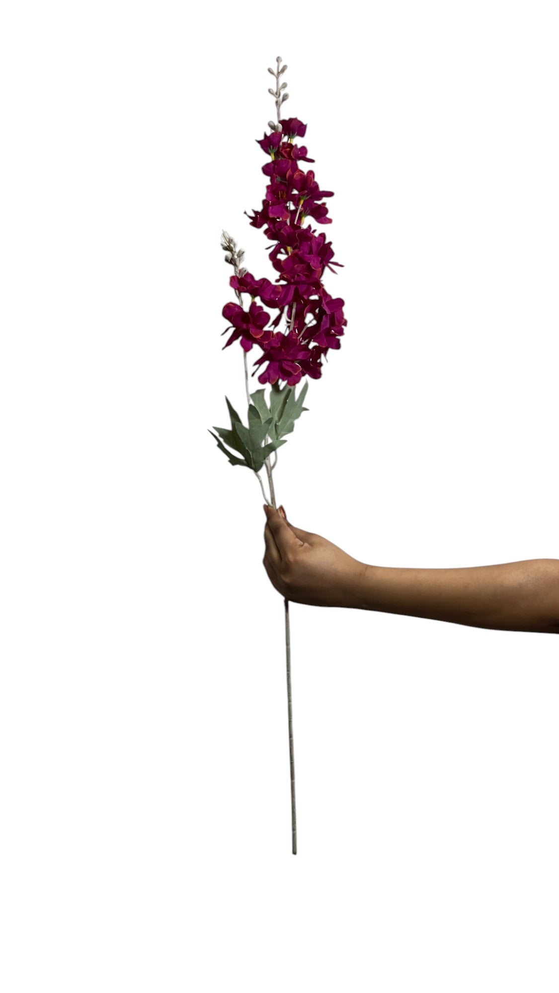 Delphinium Stick 23 Head 85cm Rustic Purple (Pack of 10)