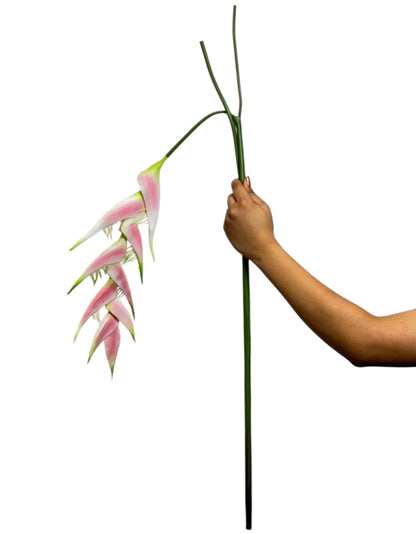 Heliconia Stick 9 Flower 123cm Light pink (Pack of 10)