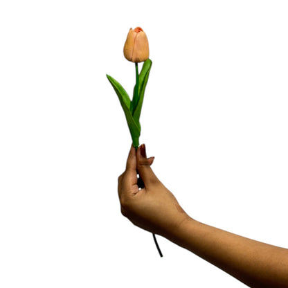 Tulip Stick 13" Orange Cream (Pack of 10)