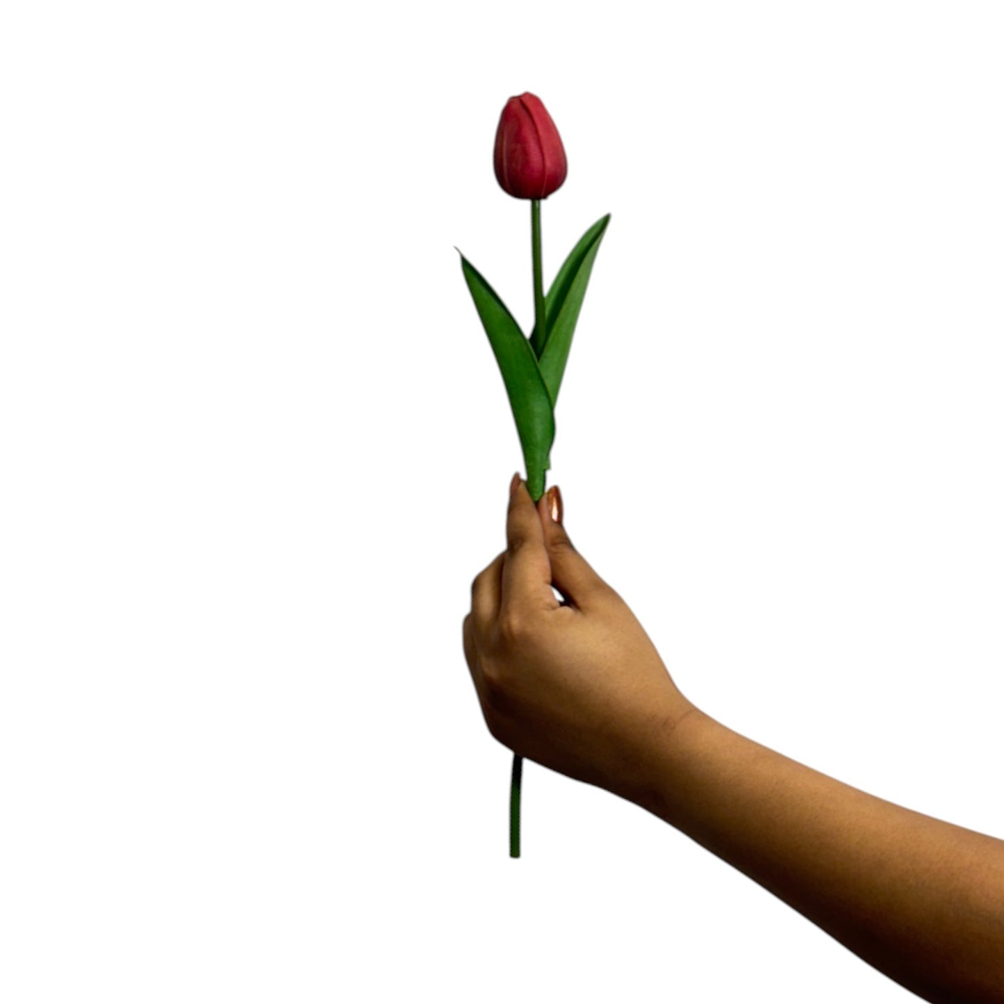 Tulip Stick 13" Red (Pack of 10)