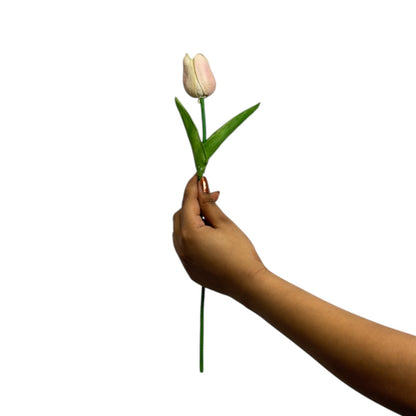 Tulip Stick 13" Peach (Pack of 10)