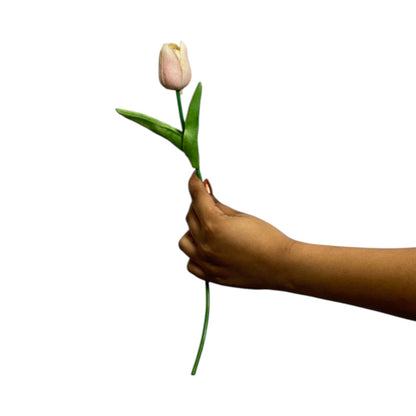 Tulip Stick 13" White Pink (Pack of 10)