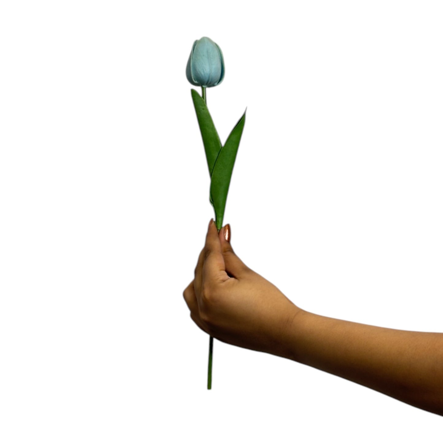 Tulip Stick 13" Sky Blue (Pack of 10)