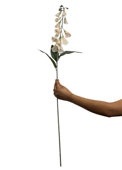 Lapageria Rosea 83Cm Peach (Pack of 10)