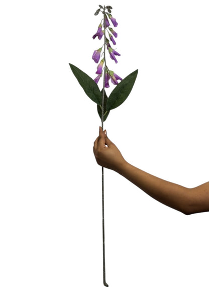 Lapageria Rosea 83Cm Lavender (Pack of 10)