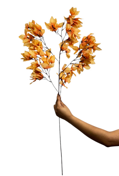 Magnolia Stick 23 Head 89cm Brown (Pack of 10)