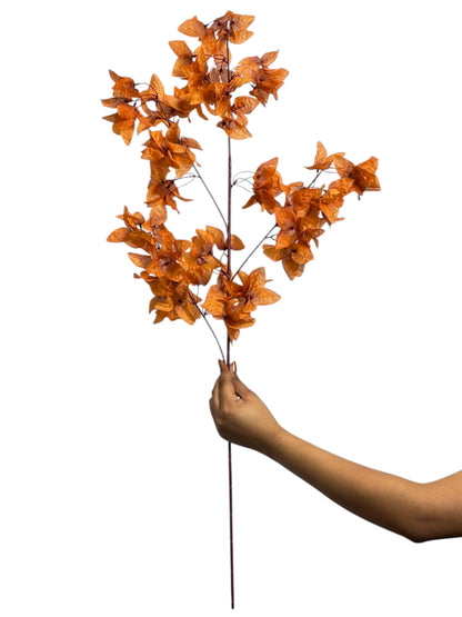 Magnolia Stick 23 Head (Pack of 10)