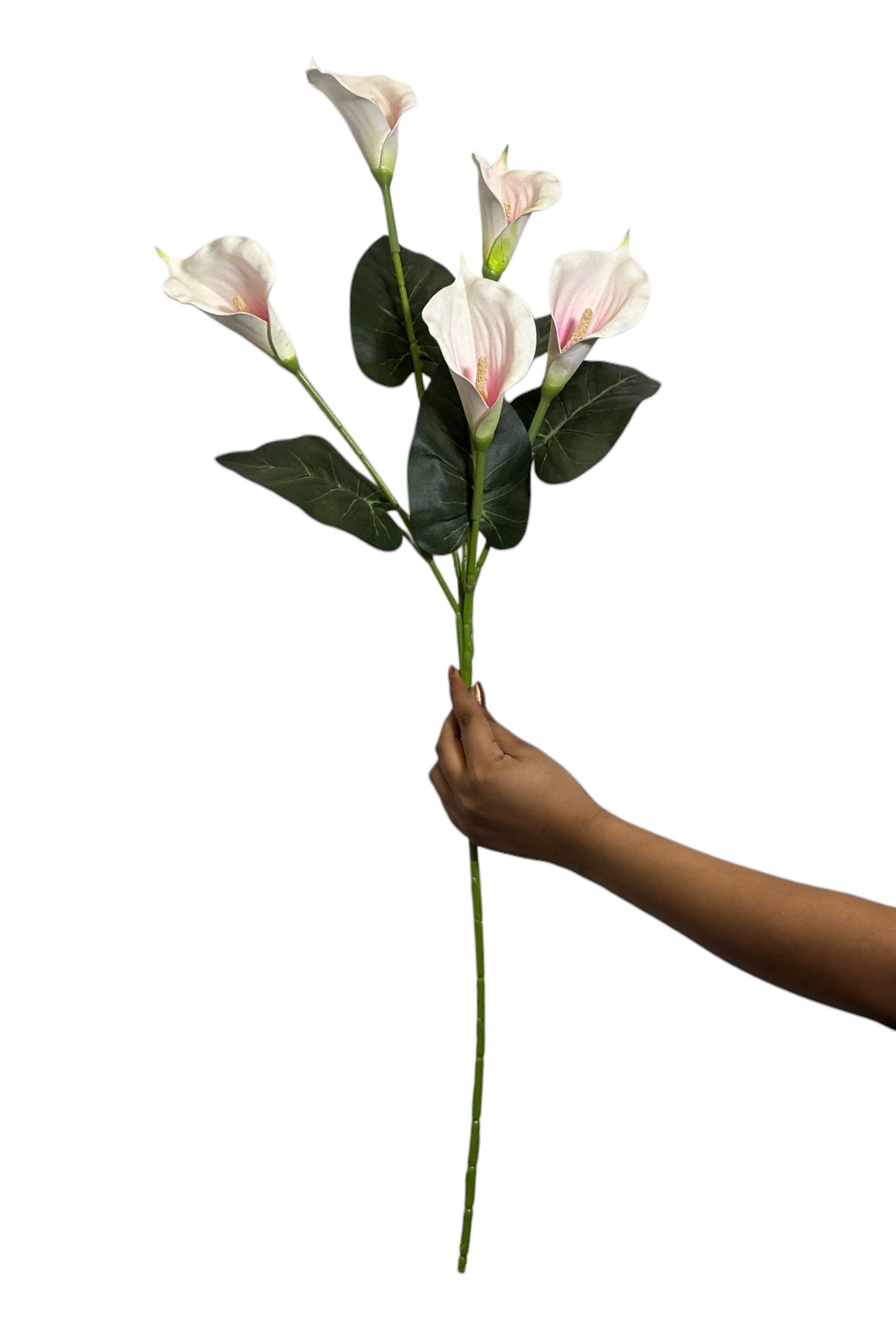 Cala Lily Stick 5 Head 34" White (Pack of 10)