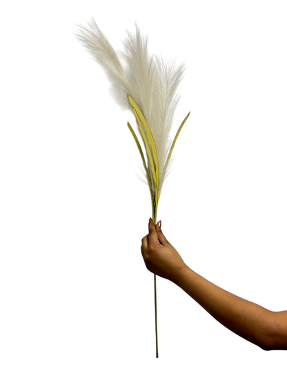 Pampas Grass Bunch 20 Stick 46.5" Peach (Pack of 10)