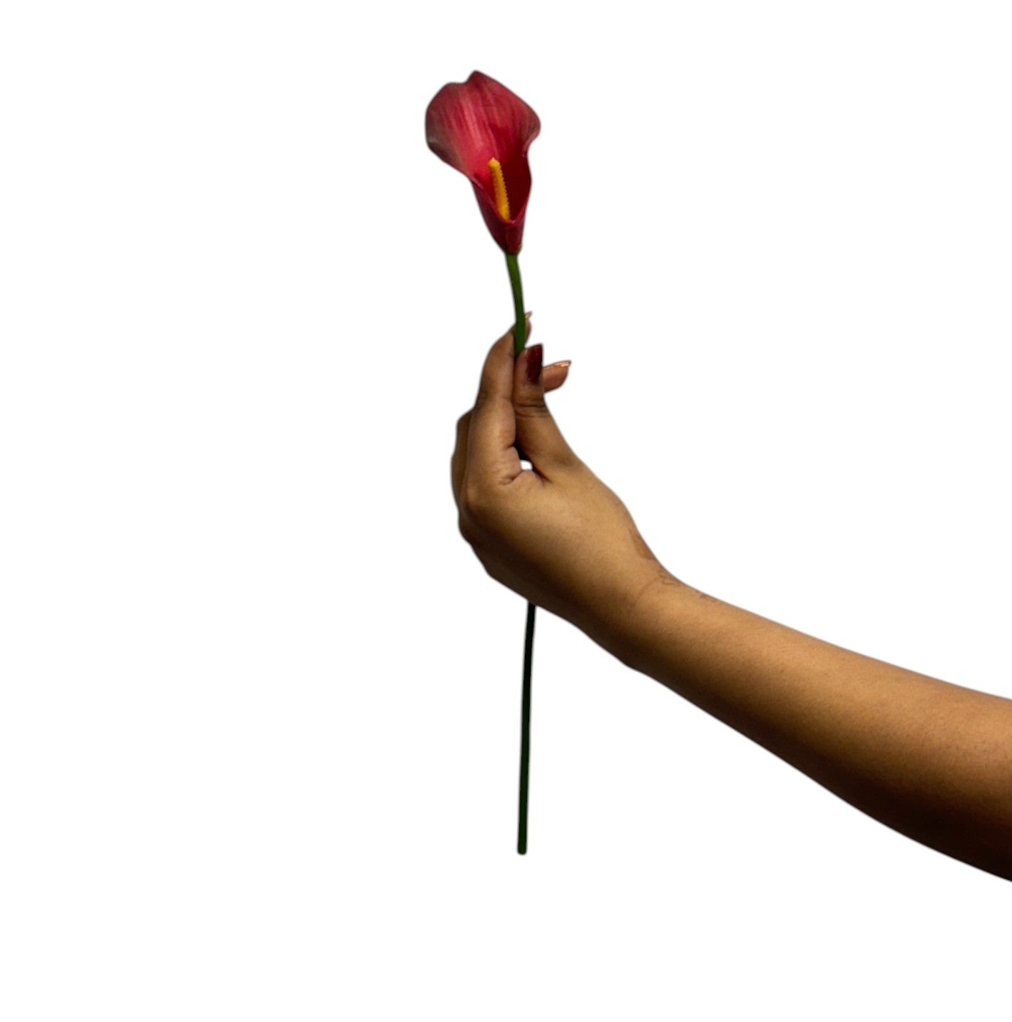 Calla Lilly Small Red (Pack of 10)