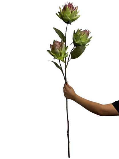Protea Stick 3 Head 104cm Ligth Green (Pack of 10)